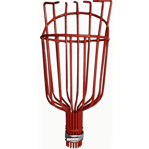 Deep basket fruit - deep, head